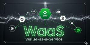 Scalable Wallet-as-a-Service (WaaS) Solutions for Banks and Enterprises Amid BNB Growth