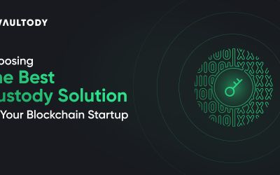 Choosing Тhe Best Custody Solution for Your Blockchain Startup